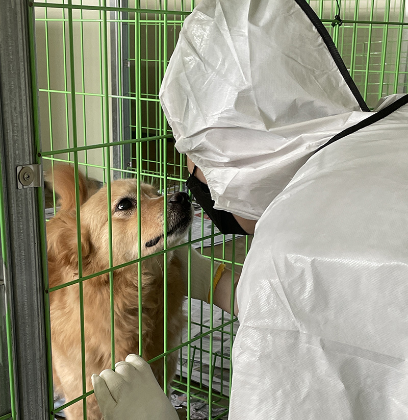 바잇미 봉사단