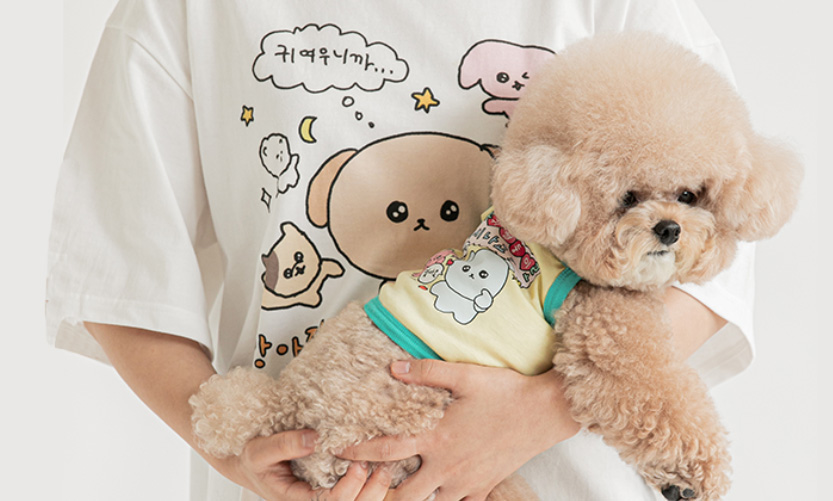 최고심